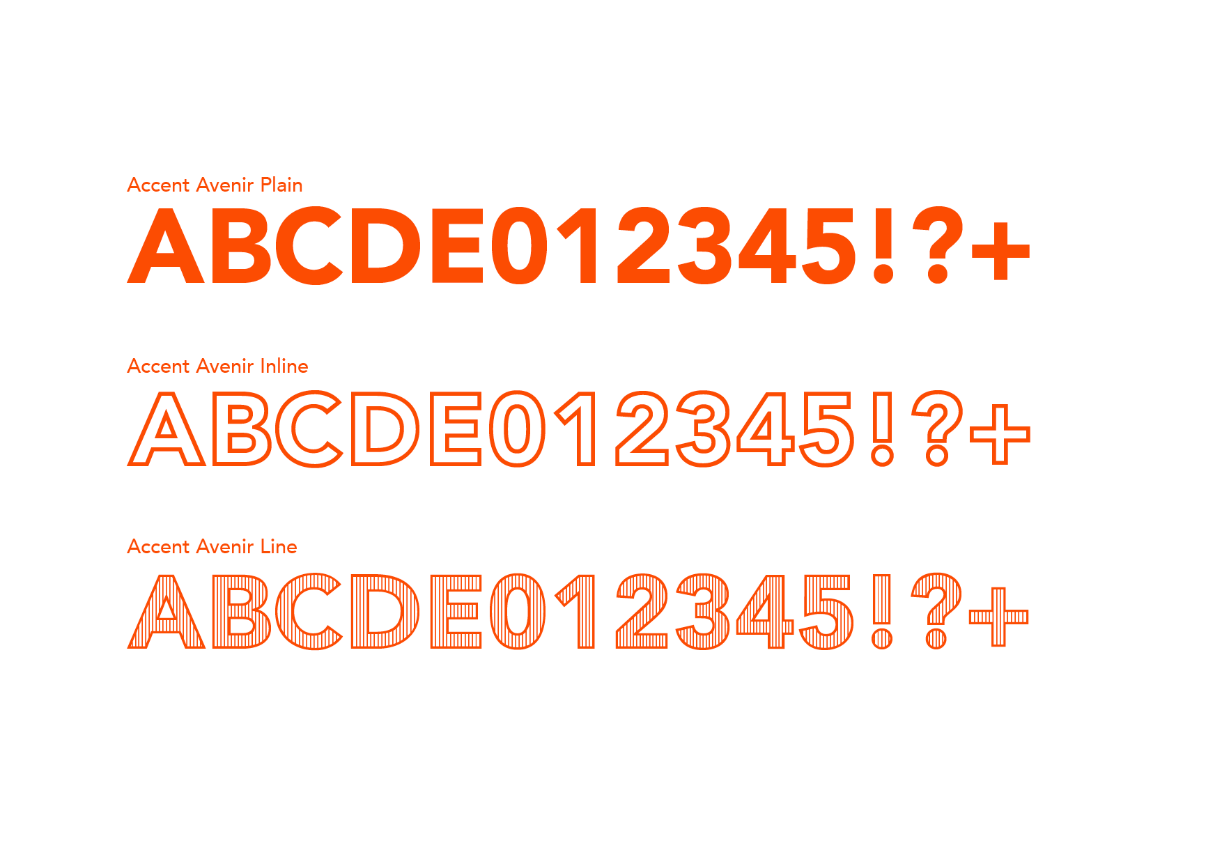 Accent Image 3